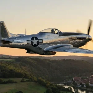 Mustang P51 fliegen