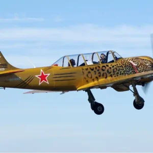 Yak 52 fliegen